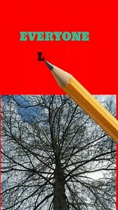 Tree animation video