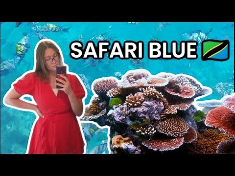 Is SAFARI BLUE worth it? - ZANZIBAR'S most popular tour
