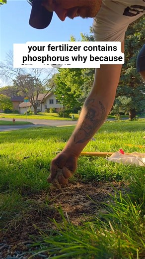 Seeding This Spring? Your Grass NEEDS This Fertilizer! 🌱