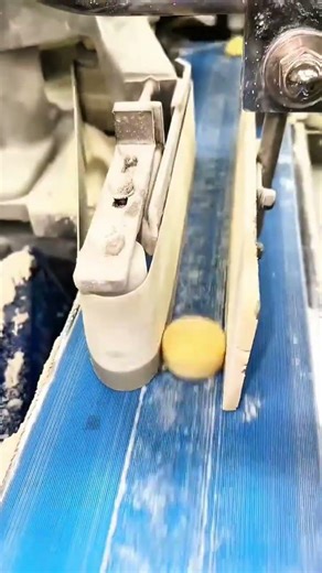 Conveyor belts hum round biscuits align rollers guide rhythm flows machine feeds endless craft