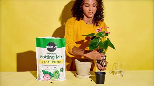 Miracle-Gro Indoor Potting Mix for All Plants 6 qt. Soil For Indoor Container Plants, Use with Houseplants and More 72776892