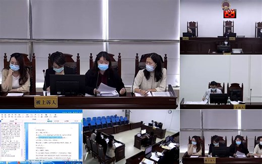 （2020）粤71行初800号信息电讯行政管理（信息、电讯）