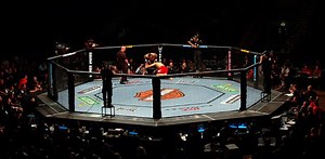 How to Watch UFC 248