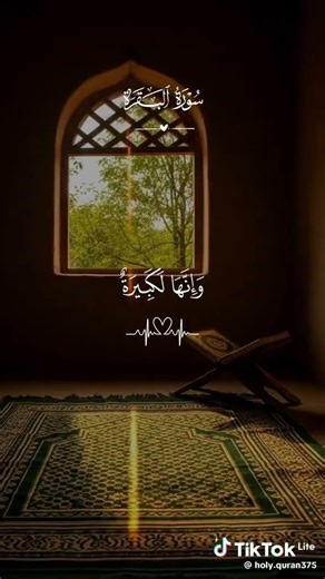 اعملو اشتراكاذا بتحبو ربكم 🔥❤ #كتاكيت #تحدي #فلوق #حيوانات