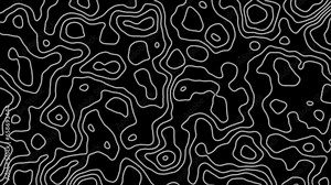 Topographic animation scheme and terrain. Topography grid map. Stylized topographic contour map. Geographic line mountain relief. Abstract lines or wavy backdrop background. Contour map background. Stock Video