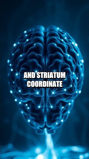 Ladder of Motivation: The Neural Steps From Growth to Habit