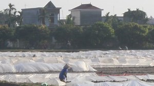clip-34157197-farmers-working-fields