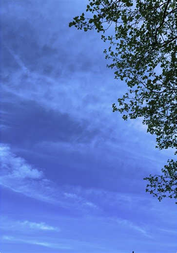 A canvas of endless blue, where dreams drift and peace prevails. #theskyjournal #bluesky #sky #nature #clouds #sunshine #skyview #skylovers #naturephotography #beautifuldestinations #travelgram #wanderlust #instasky #sunnyday #cloudscape #skylover #clouds #naturelovers #skyphotography #sky #sunset #sunrise #bluesky #skyperfection #skybrilliance #skyobsession #skyart #skyline #skywatch #skybeauty