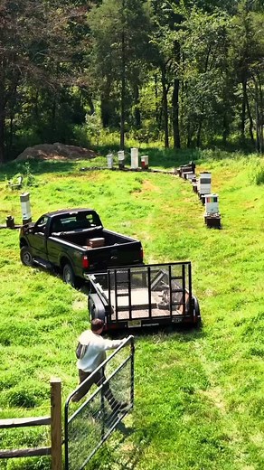 It’s here! Our 2025 honey. You’ll find it at our Farmers’ Markets, on our website and at our Farm Store! We had the best team of friends and family helping us this year. It’s true, many hands make light work. Thanks to @northjerseydroneshots for capturing it. We’re so fortunate to do the work and appreciate your support. 🐝🐝🐝 #neshanicstationapiaries #nj #beekeepers #newjersey #honeybees #rawhoney #beeswaxcandles #smallbatch #farmfresh #madewithlove #welovebees #savethebees #savethebeessavethe
