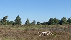 Adam Reid VMC ME-109 Summer Flight