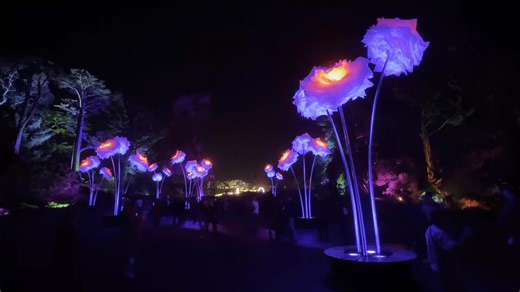 Lightscape art installations draw nightly crowds to San Francisco's Golden Gate Park