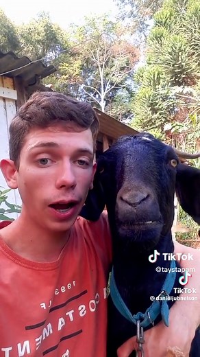 Boy Singing to Goat | Emotional | Adorable