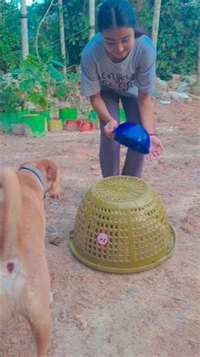 blue bowl ke niche se ladki ko mili kittens #blue #bowl #under #ladki #catshorts #cat #yt