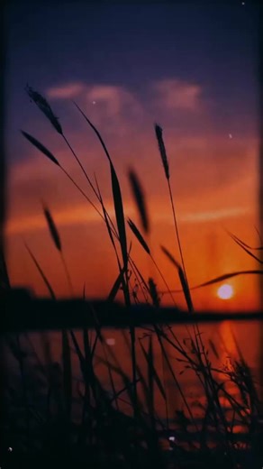 Master TikTok Skills: A Guide to 1 Million Auditions