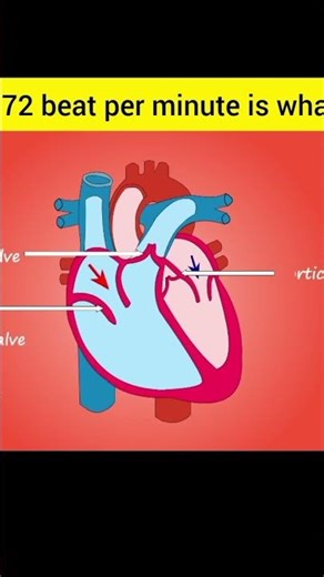 What is the normal Heart rate? #music #dj