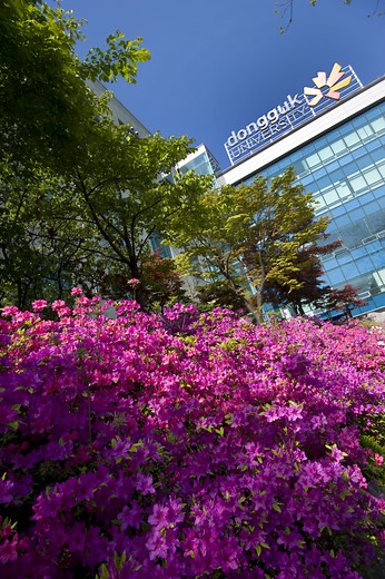 Dongguk University - Go! Go! Hanguk | Study Korean in Seoul