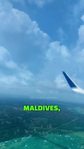 (2/4) | Rate the Window view transition 🫣 | Arrival at maldives! I booked a flight from Cochin to Malé Airport, theres an @indigo.6e which fluctuates from 10-15k (~130$) depending on how early you book. Once you have booked the flight and Hotel/Resort, you need to go on this site (1-2 days before travel) and get the self declaration form : http://imuga.immigration.gov.mv And about Visa, (Taken from internet) : Tourist visa is granted for all nationalities on arrival to the Maldives. As such, a 