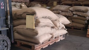 Boxer Coffee Maple Cream Swiss Water Decaf Pods | Naturally Flavored Gourmet Decaf Coffee | 48 Count Compatible with Keurig K-Cup Single-Serve Cups | Specialty Grade Artisan Medium Roast