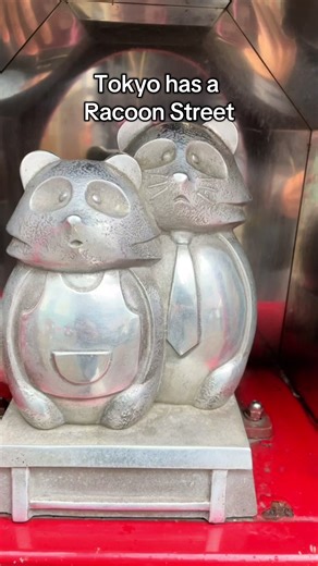 Search “White Fox stamp book” on Amazon 🦊✨ Tanuki Road is one of Tokyo’s most charming hidden streets — quirky, cozy, and full of personality. #Raccoon #TokyoRaccoonVibes #JapanTravel #WhiteFoxStampBook #JapanHiddenGems