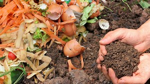 Why everyone should try composting