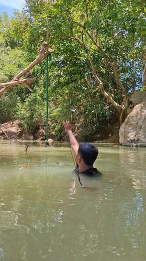 84K views · 121 reactions | bird slingshot tricks on trees | Rijal Madura | Facebook