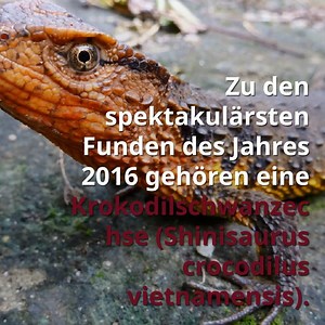 8.2K views | Ganz schön bizarr. Aber irgendwie auch süß!...