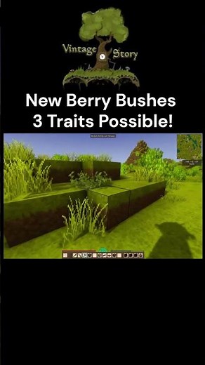 New Berry Bushes 3 Traits Possible! #vintagestory #gaming