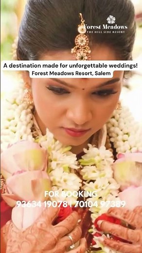 Why Couples Choose Forest Meadows for Their Dream Wedding