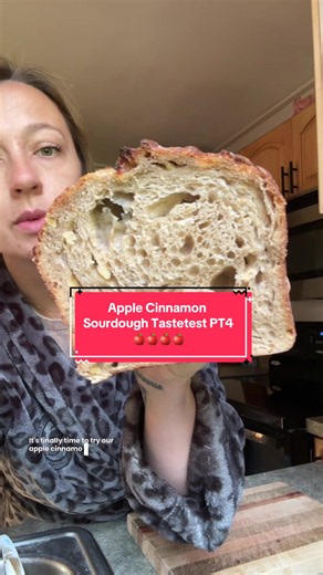 Apple Cinnamon Sourdough Tastetest — Easy Sourdough Bread Recipe