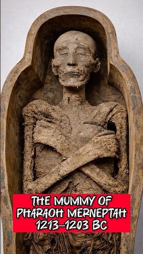 The Mummy of Pharaoh Merneptah1213–1203 BC #egyptianmuseum #pyramidsofegypt #egypthistory #egipt