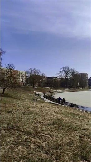 #kaliningradlife #природавкалининграде #весна