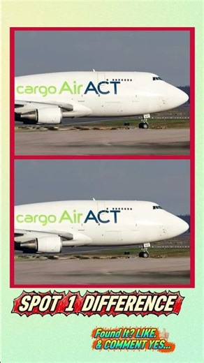 Can You Spot 1 Difference?