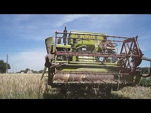 Moissonneuse-batteuse Claas Columbus en action à Tillou 24 juin 2020 (orge)