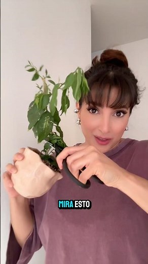 YOU CAN START OVER 🌿❤️‍🩹