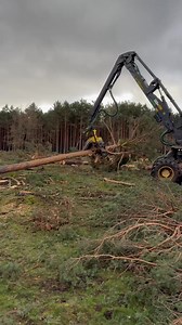 43K views · 296 reactions | how to move the tree and process it with the 1270g harvester #harvester #automobile #wood #viral-000 | Barbara Lopez | Facebook