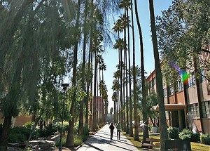 Palm Walk in Phoenix, USA