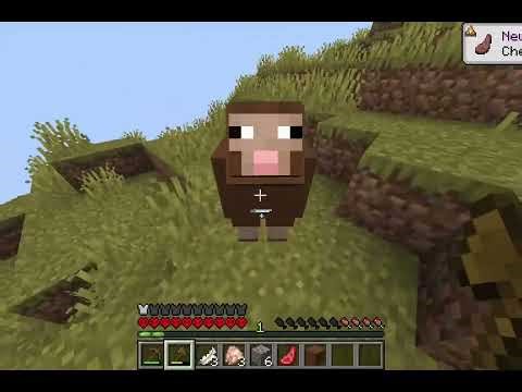 Minecraft Hardcore Respawn