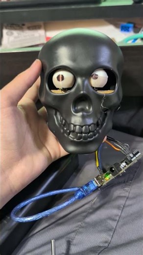 skeleton robot head