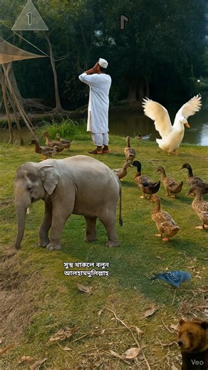 Azan is the best sound in the world #azan #trending #viral #islamicstatus #fishing #cow #গরু #ramzan