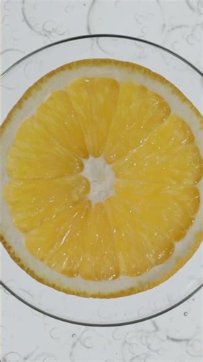 African Extracts Rooibos | Hydrofirm-C+ Anti-ageing skin care