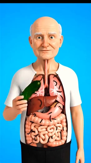 The Amazing Journey of Cucumber Inside your Body | 3D Animated Content #health #shorts