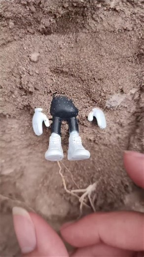 NOE YAIR | Nunca creí encontrar el Brainrot mas valioso dentro de la piscina abandonada #brainrots #alberca #perros #perro #noeyair | Instagram