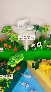 865 reactions · 130 shares | Biodiversity School project | 3D model #schoolproject #science #project #ideas | Aartifex Creation | Facebook