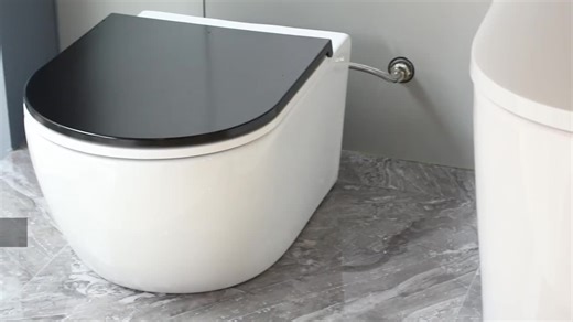 LEPPA- Rimless wall-hung toilet with bidet,Easy to adjust the direction of the nozzle, soft water #bidet #bidetislife #toilet #wc #bathroom