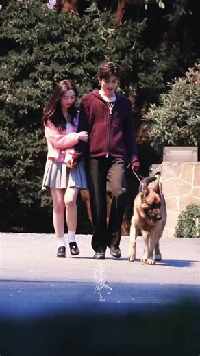 Xu Sui (Deng Enxi) dan Zhou Jing Ze (Wang Xing Yue) ngedate 🤭👫 Salfok scene xingyue make kemeja cakepp😍 Reuters drama A Love Confession #wangxingyue #dengenxi #aloveconfession #cdrama #foryou