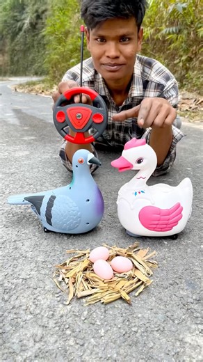 Rc Duck vs remote control pigeon Birds unboxing #shorts