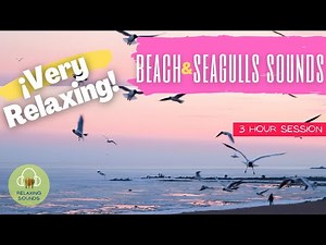 🎧😴BEACH SOUNDS WITH SEAGULLS 🌊