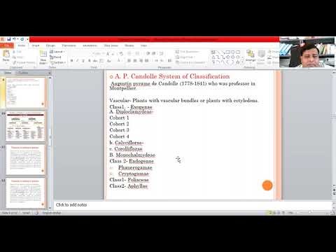outline of A P Candolle system