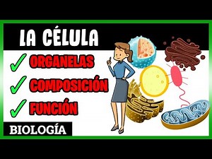 🟢 La CÉLULA | ¿Cuál es la estructura de la Célula? | ORGANELAS | Explicación para SECUNDARIA