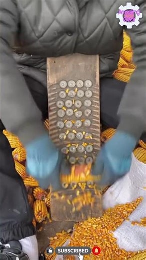 How to Clean Corn Quickly with Traditional Method🌽😋